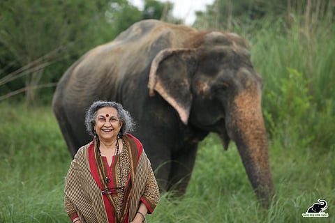 Geeta Seshamani, co-founder and secretary of Wildlife SOS