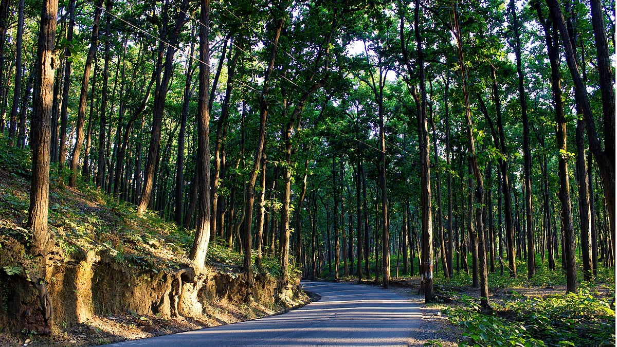 Arpan from Getty Images : Been There Doon That is helping people rediscover Dehradun, one trail at a time.