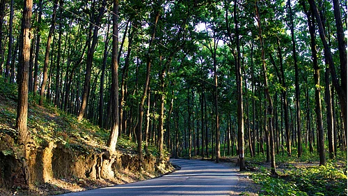 How This Man Is Making People Fall in Love With Walking in Dehradun