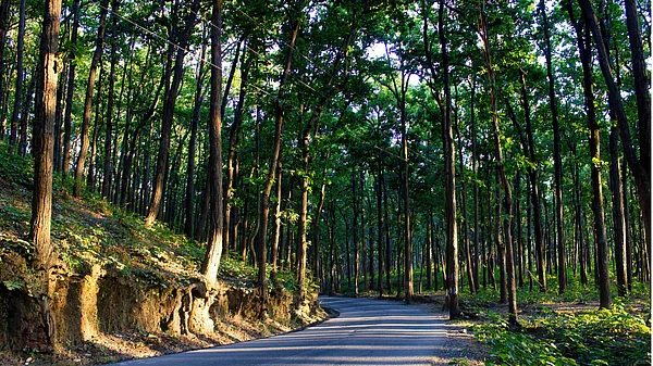 Arpan from Getty Images : Been There Doon That is helping people rediscover Dehradun, one trail at a time.