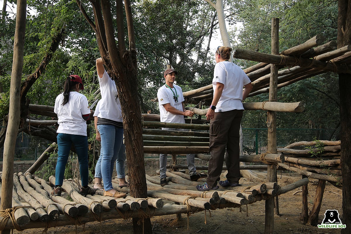 A view of the platform enrichment made by volunteers