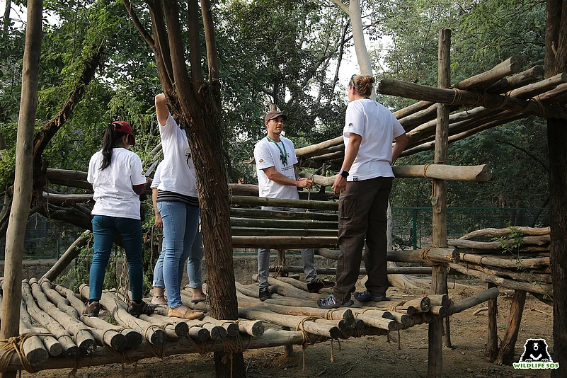 A view of the platform enrichment made by volunteers