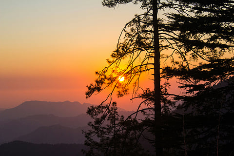 Just beyond Shimla lies a destination shaped by nature and history