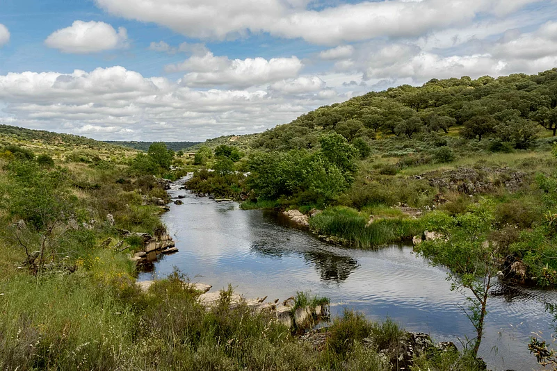 Riverside woodland within Spains Natura 2000 network at Almonte Natural Park, Extremadura