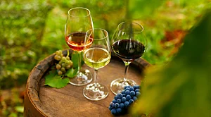 Deposit Photos : Sip the colours of the wines, fresh from the vineyard
