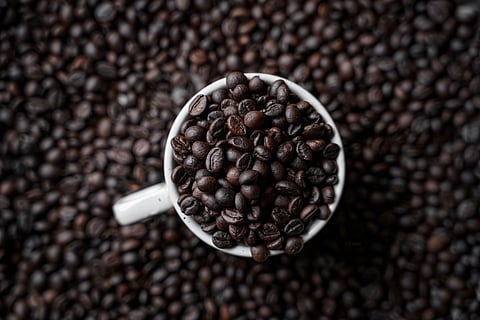 Freshly roasted coffee beans, the heart of every perfect brew