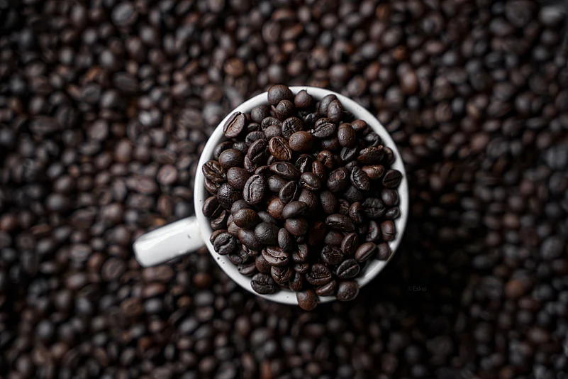 Freshly roasted coffee beans, the heart of every perfect brew