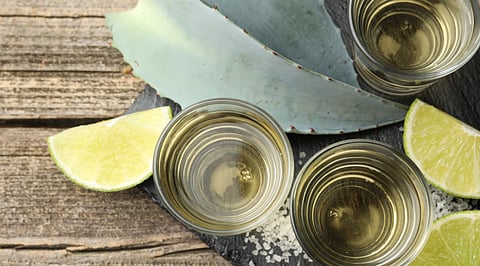 Tequila lovers, you must be excited
