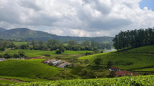 Why Meghamalai In Tamil Nadu Is The Monsoon Escape You Need This Season