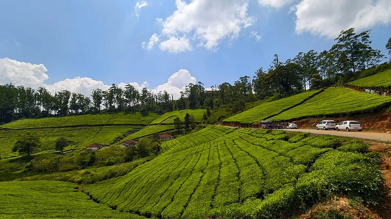 Tea, trails and timeless mountain views