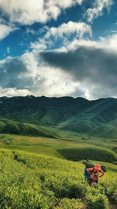 Unsplash : Dzükou Valley