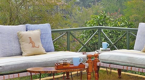 A Stay in Harmony with Nature at Jim's Jungle Retreat