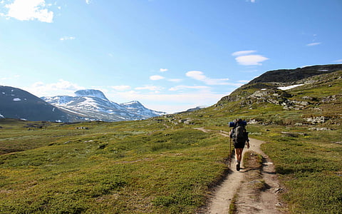 The Wolf Trail brings slow travel to a whole new level