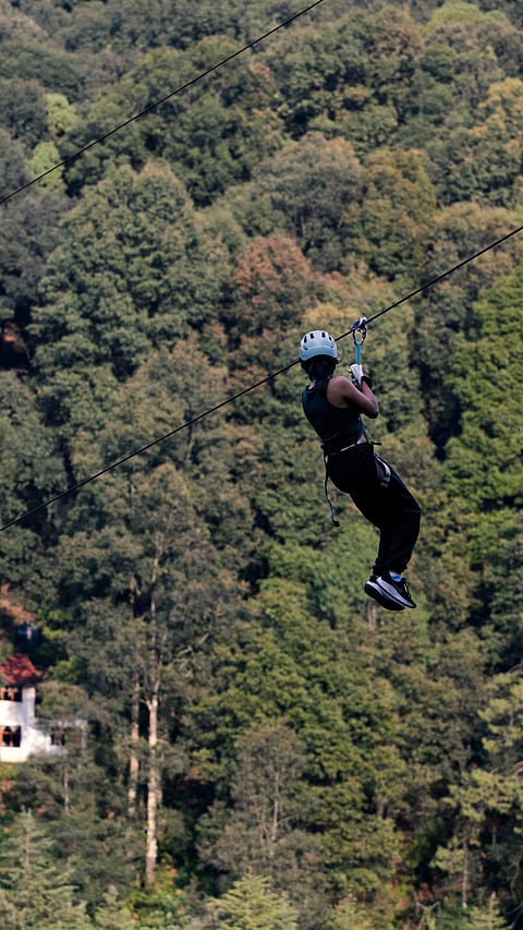 A ziplining activity (representational)