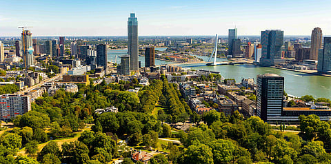 Rotterdam's modern skyline overlooking the River Maas