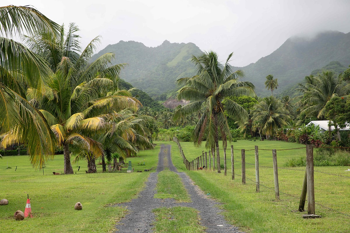 A driveway in Rarotonga overlooking the mountainous landscape