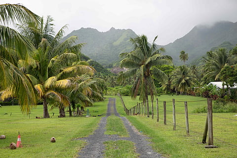 A driveway in Rarotonga overlooking the mountainous landscape