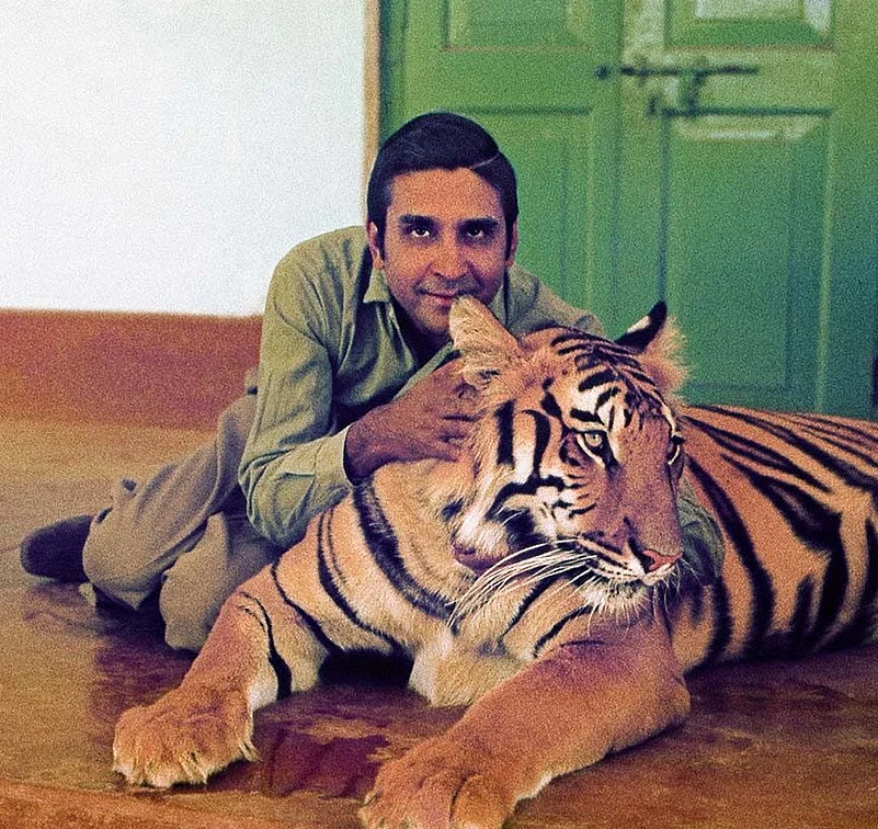 Jhala with the tigress Khairi at Similipal Tiger Reserve, Orissa, in 1976