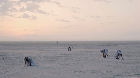 The Hedge of Halomancy short film