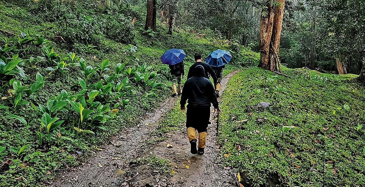 Shutterstock : Nature tourism requires mindful exploration