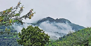 Shutterstock : Chase the monsoon at these picturesque destinations across India