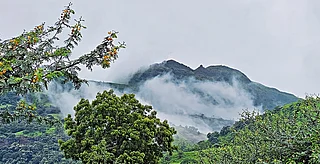 Shutterstock : Chase the monsoon at these picturesque destinations across India