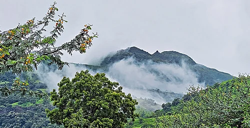 From The Latest Issue: In Search Of Petrichor: The Indian Destinations Redefining Monsoon Travel