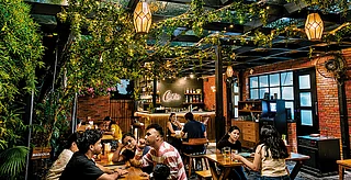 Cincin : Bars are redefining cocktails through local ingredients