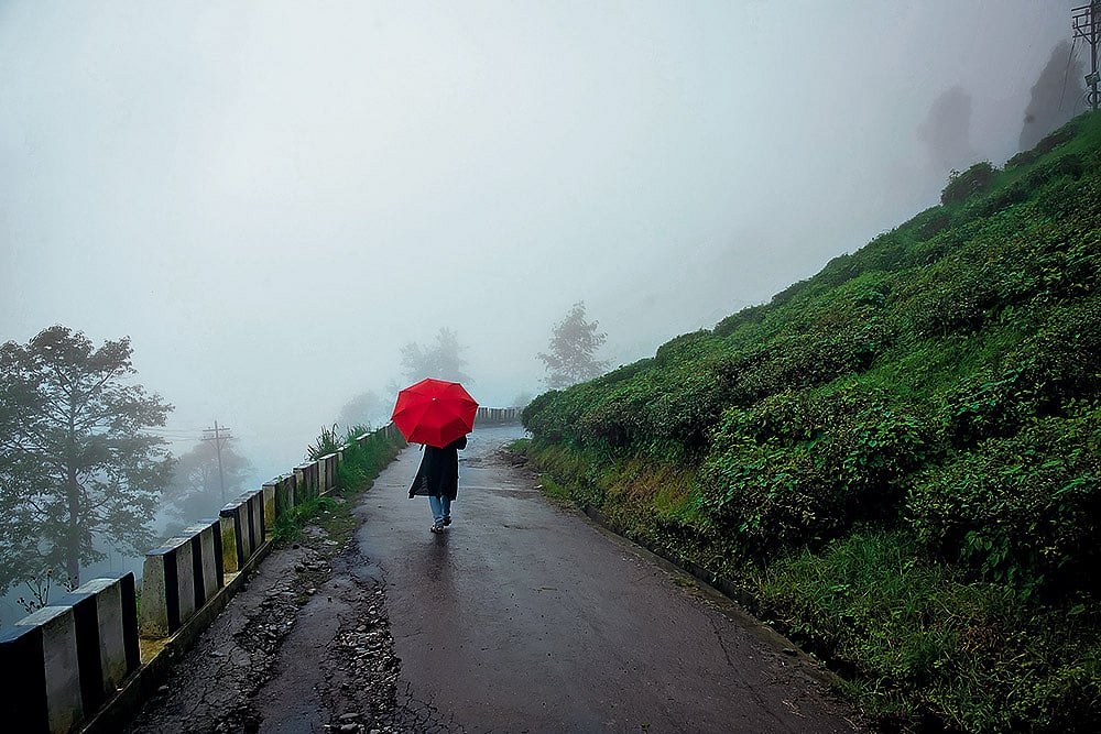 Darjeeling, shrouded in mist, is moody and alluring