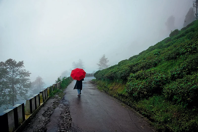 Darjeeling, shrouded in mist, is moody and alluring