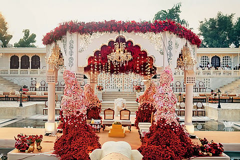 The couple traded Rajasthan's wedding hotspots for the wild beauty of Ranthambore