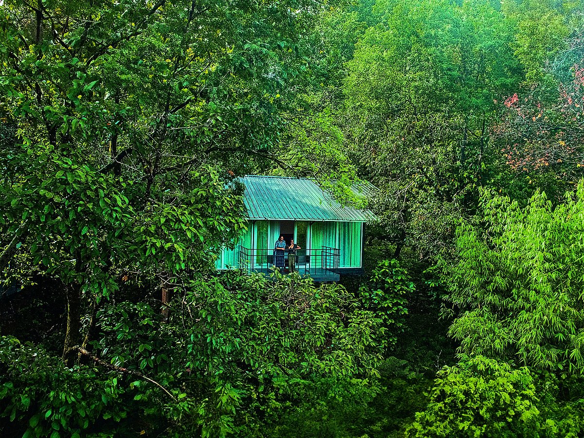 Wayanad Wild by CGH Earth is a hidden gem in the Western Ghats’ evergreen forests