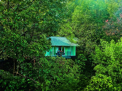 Wayanad Wild by CGH Earth is a hidden gem in the Western Ghats’ evergreen forests
