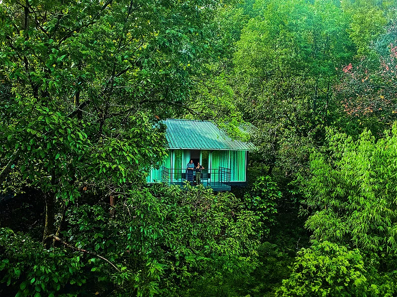 Wayanad Wild by CGH Earth is a hidden gem in the Western Ghats’ evergreen forests