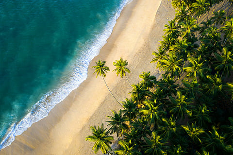 A beach in Sri Lanka