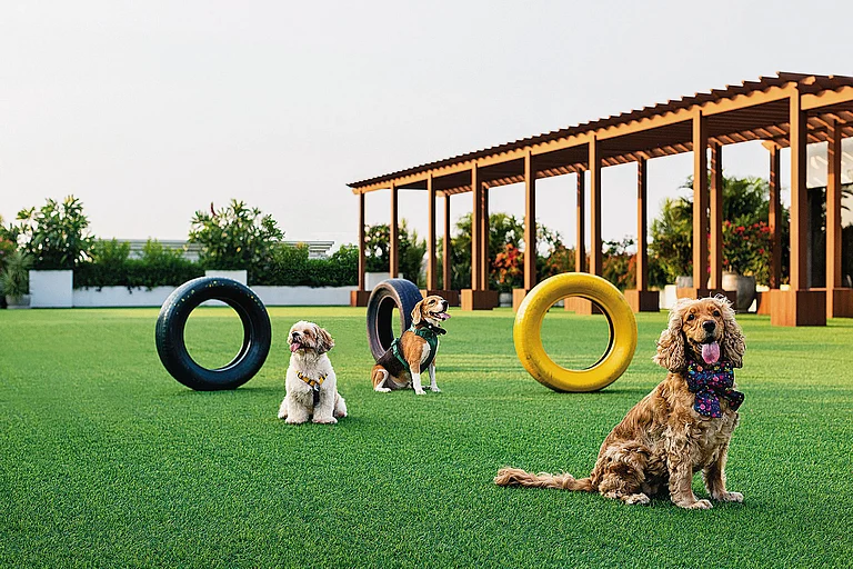 Open lawns let pets enjoy
fresh air, exercise and carefree
holiday moments - Supplied