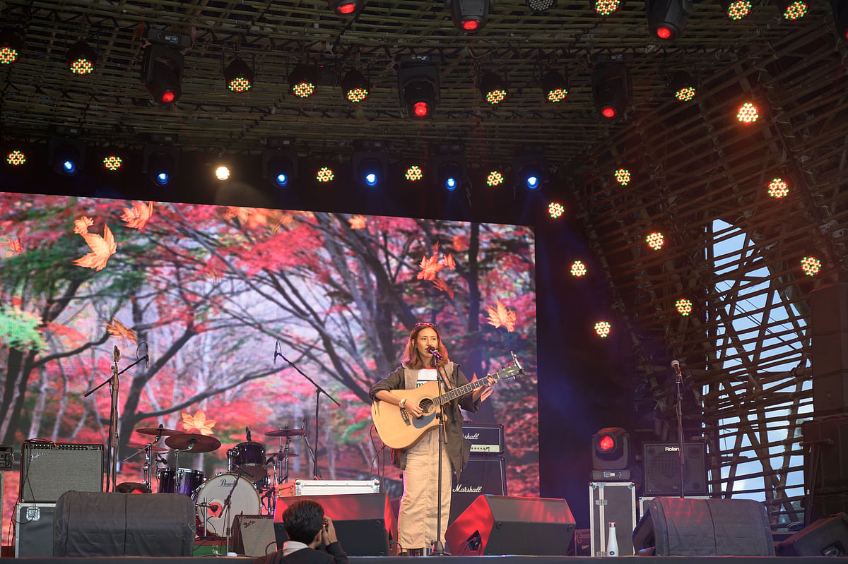 Shutterstock : Artist performing at Ziro Festival of Music 2019
