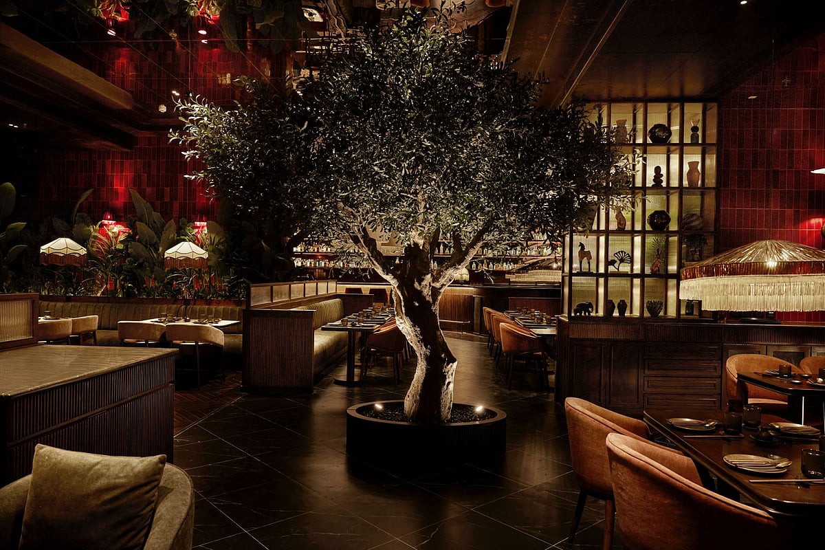 Hikki mixes Japanese and Peruvian influences with red tiles, fluted wood, greenery, and warm lighting