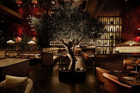 Hikki mixes Japanese and Peruvian influences with red tiles, fluted wood, greenery, and warm lighting