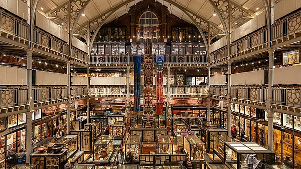 Wikimedia Commons : Pitt Rivers Museum