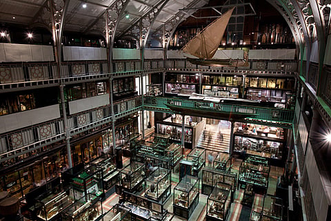 Oxford's Pitt Rivers Museum