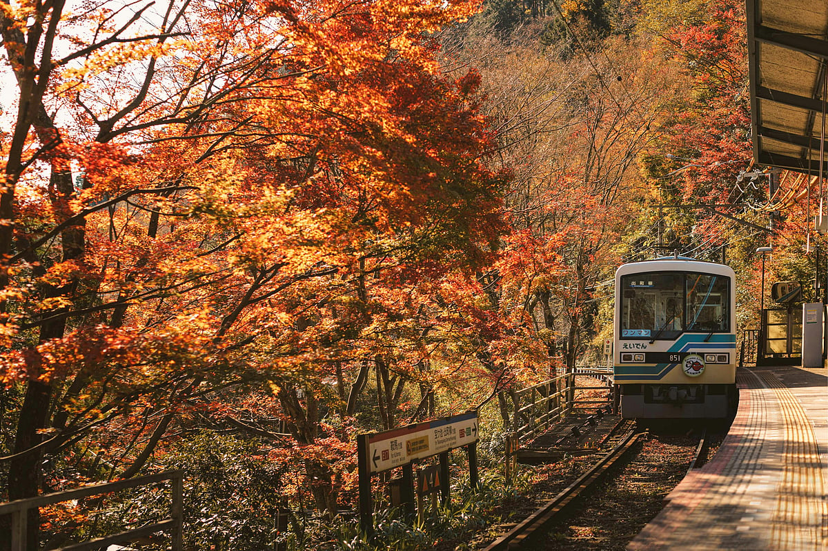 Fall foliage in Kyoto