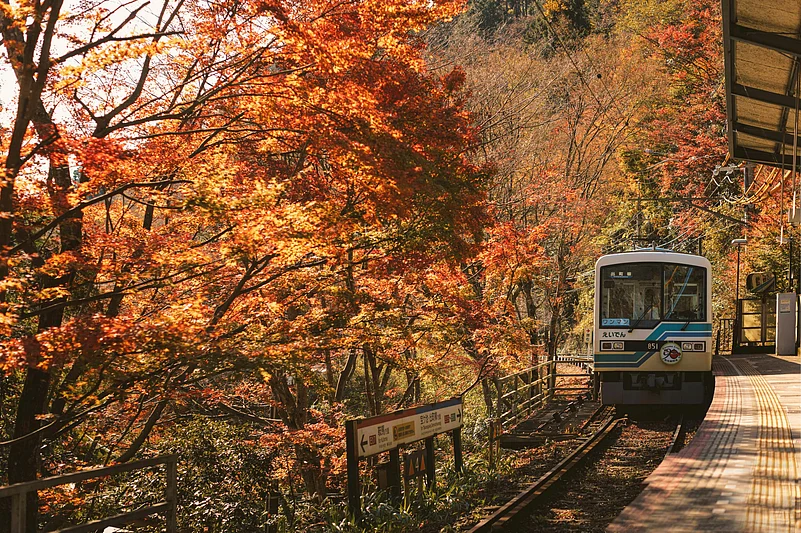Fall foliage in Kyoto