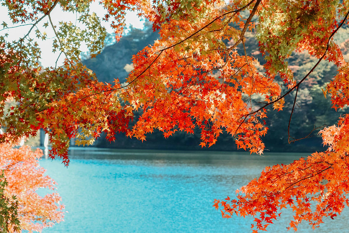 Usui Lake, Matsuidamachi Sakamoto, Annaka, Gunma, Japan