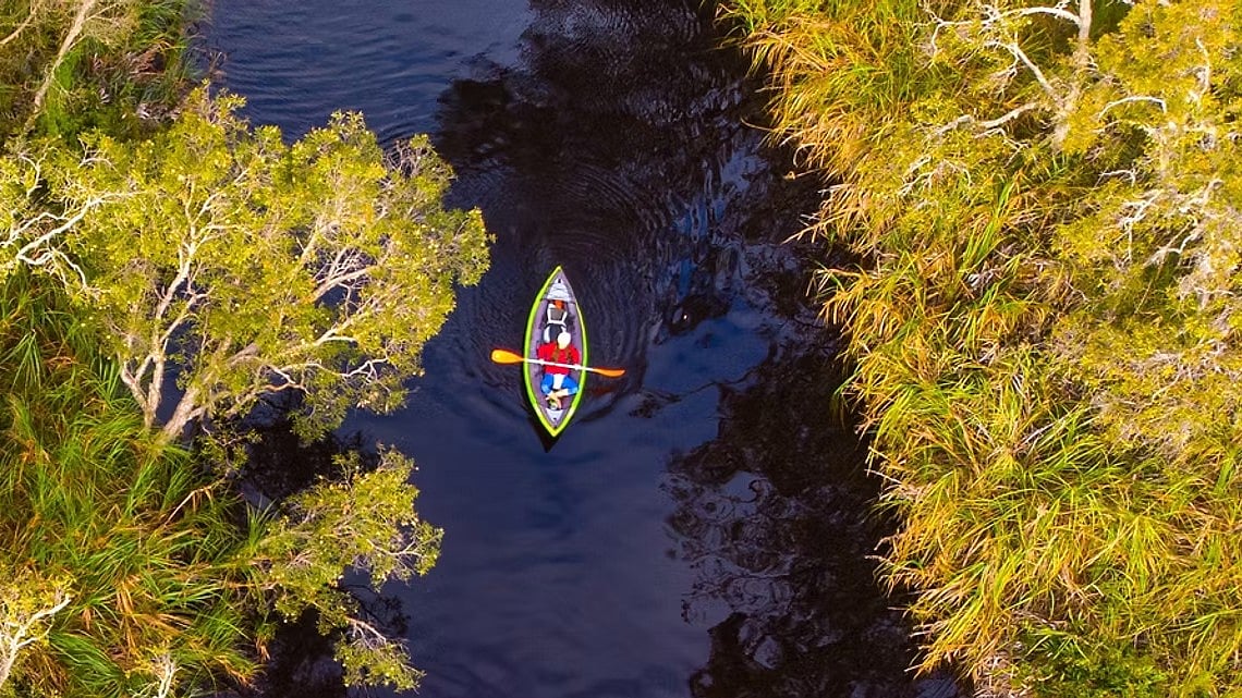 Visit Noosa : The Noosa Everglades