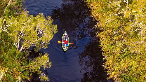Noosa Everglades: Explore Australia’s River Of Mirrors