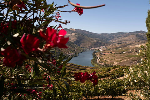 Duoro Valley, Portugal