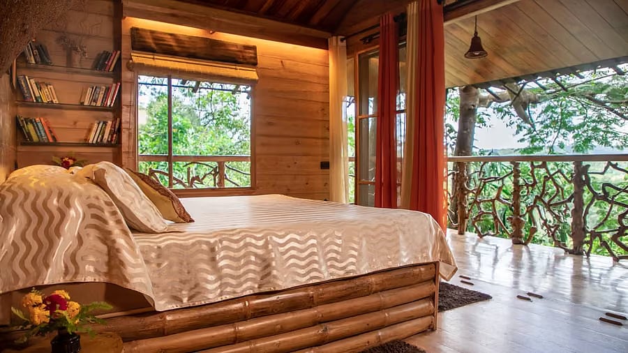 The Tranquilitree Tree House nestled under the shade of a Gulmohar tree