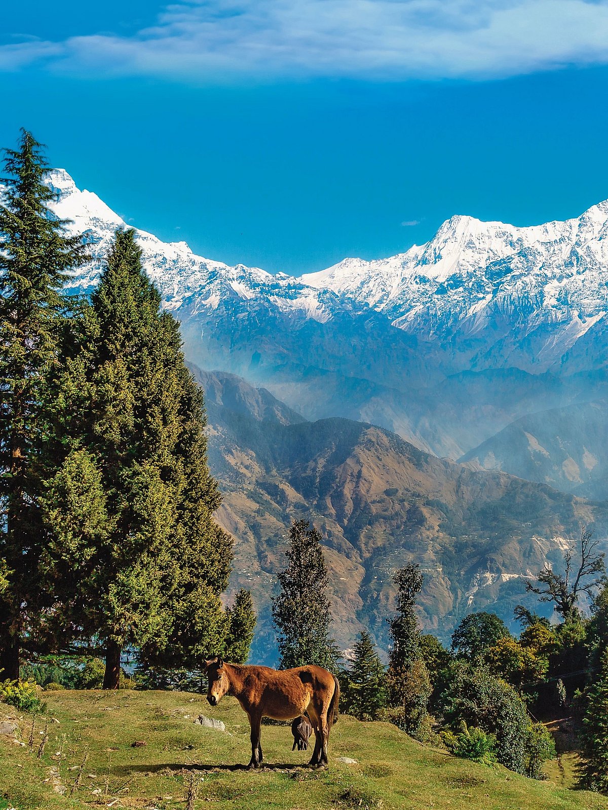 Shutterstock : 8 Places In India That Are Perfect For An Early-Winter Escape