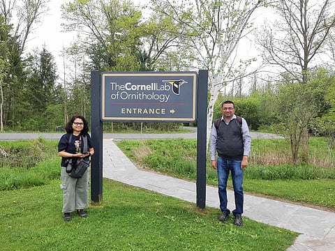 Cornell Lab Of Ornithology